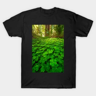 Redwood Sorrel in the Forest T-Shirt